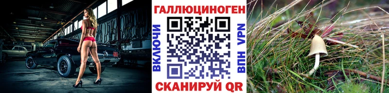 Купить  Светлоград  Галлюциногенные грибы мухоморы 